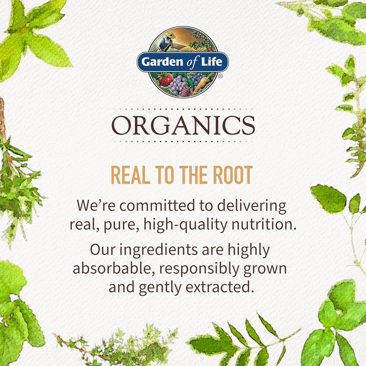 Garden of Life Organics Women's Gummy Vitamins - Berry - Certified Organic, Non-GMO, Vegan, Kosher Complete Multi - Methyl B12, C & D3 - Gluten, Soy & Dairy Free, 120 Real Fruit Gummies - Image 8